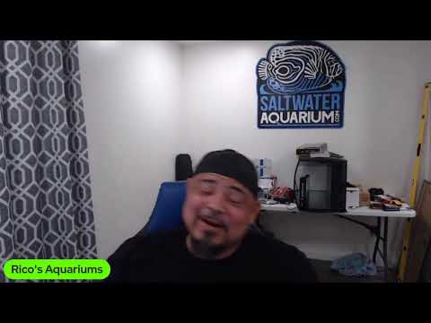 Saturday night muzzle free aquarium talk