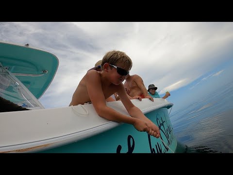 Mini Hercules vs Big Goliath Grouper! Permit Catch Clean.