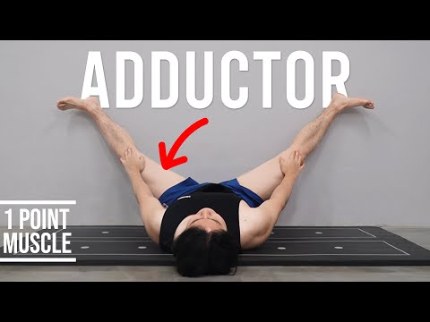 Simple but Must-Do Stretch｜Adductor Magnus｜Hisdream Stretching Library