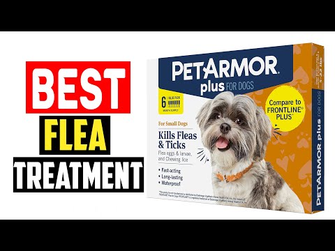 ✅Top 5 Best Flea Treatment for Dogs in 2024