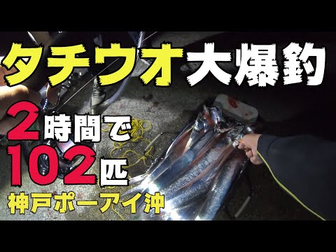 たった2時間で堤防からタチウオが102匹釣れた日