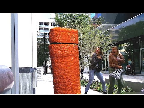 Angry Carrot Prank . Crazy Reactions !!