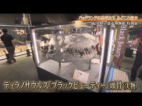 ■「バッドランドの恐竜たち」みどころ➂