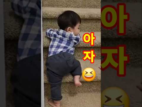 하루 종일 할 듯😝 !? #아기 일상 #아기 #shorts #계단 #칭찬  #귀요미 #cute #baby #15개월아기