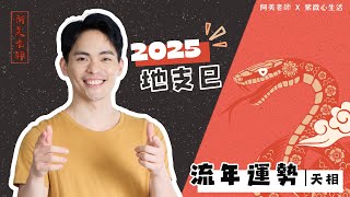 2025 蛇年運勢｜乙巳年｜天相｜流年運勢