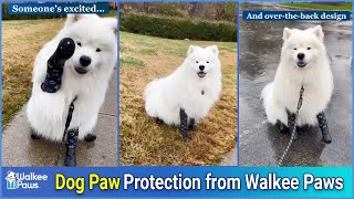 Big Fluffy White Dog Paw Protection from Walkee Paws | Dog paw protection From Water