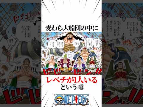 【ワンピース】麦わら大船団の中にレベチが1人いるという噂 #shorts #onepiece