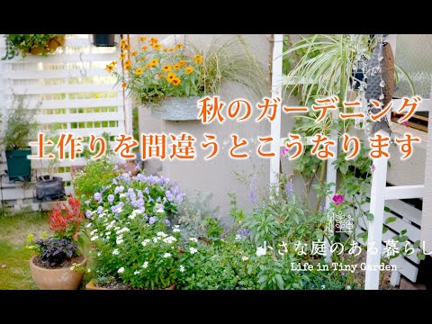 ガーデニング Vlog｜秋のガーデニング、土作りを間違うとこうなります！！｜ 〜小さな庭のある暮らし 146〜Gardening ｜ Life in a tiny garden