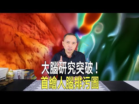 美國大腦研究新突破！首次繪製人腦排污系統圖，填補重大知識空白