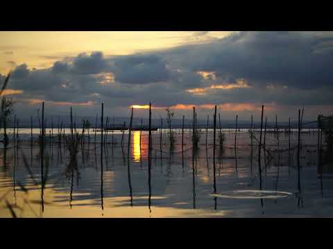 Sony A7 S3 S-log3 HDR test in low light in albufera, Valencia. 4K ultra HD