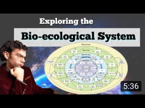 What is The Bioecological System?