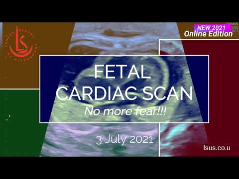 Fetal Heart:  No more fear!  Online Course 2021