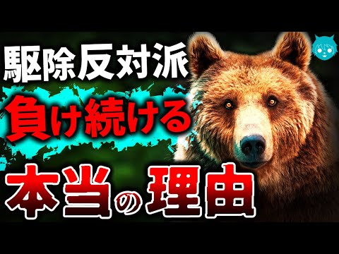 【解説】そりゃ通らんわ…クマ駆除反対派が勝てない本当の理由【熊襲撃】