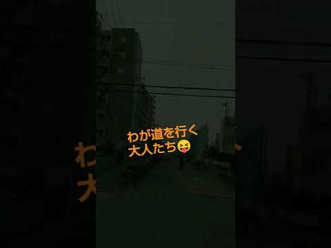 横断歩道を渡る小学生とわが道の大人たち#shorts【#9】