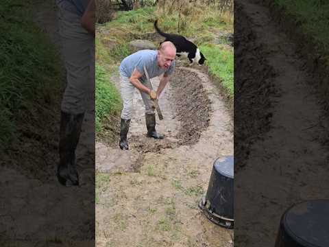 Woodland Drainage Valley #landscaping #adventure #permaculture #cat #motivation #exercise #mud