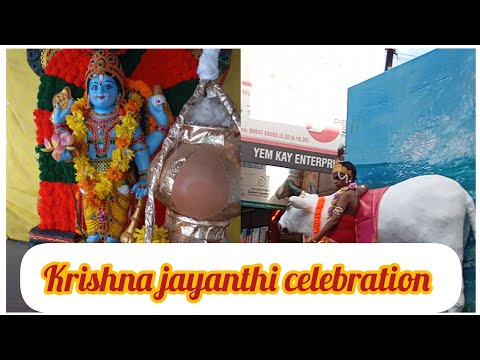 Krishna Jayanthi celebration | கிருஷ்ண ஜெயந்தி கொண்டாட்டம் @sutharsanalifestyle308