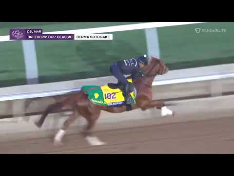 Breeders' Cup Contender- DERMA SOTOGAKE デルマソトガケ