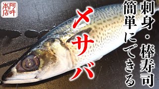 【捌き】旬のごまサバ捌き方、棒寿司の作り方！