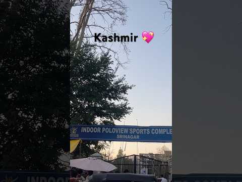 Kashmir#kashmiritradition #kashmir #bollywood #music #love #shortsfeed #trendingnow #ytshort #shorts