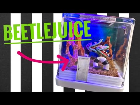 Making a *BEETLEJUICE THEMED* Spider Enclosure! REHOUSING.