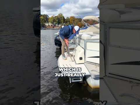 Ever Seen a Pontoon With an I/O?: Bridge Marina Reviews #shorts #boat