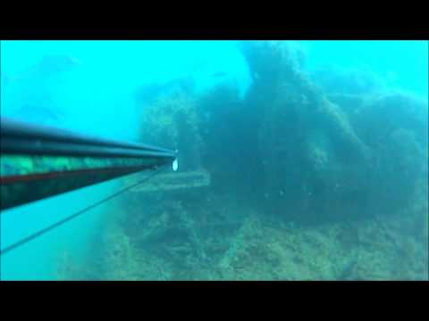 Spearfishing Northern Gulf of Mexico