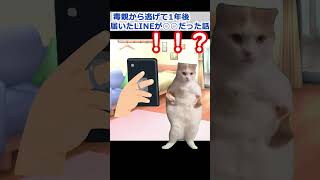 【実話】毒親から逃げて1年後、届いたLINEが〇〇だった話 #毒親 #猫ミーム