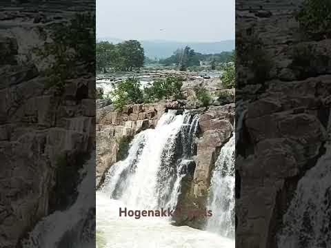 Hogenakkal #water falls #tamilnadu #india #tourist #travel #english #noun #shots #travel #vlog #love