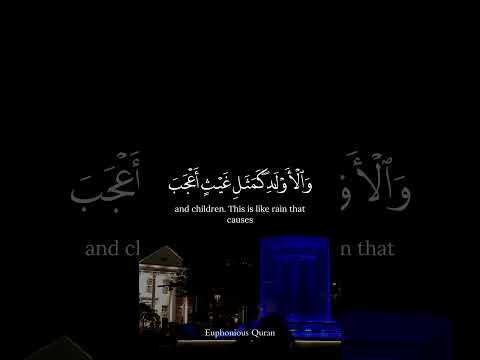 Worldly Life | Beautiful Quran Reminder | Surah Al Hadid