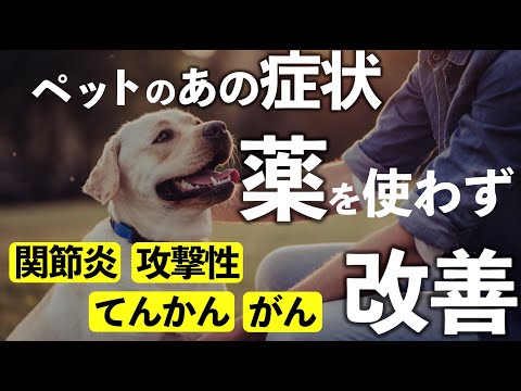 【ペットのあの症状が改善！】関節炎・攻撃性・てんかん・がんに効果的な自然な方法！