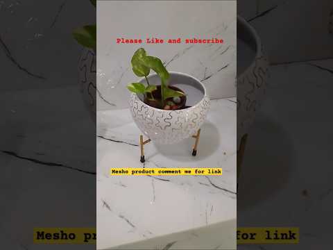 Plant pot #plant #shorts #trendingshorts #ytshorts #trending #meesho