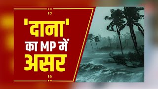 MP Weather Update: चक्रवाती तूफान 'दाना' का MP में 2 दिन असर, गरज-चमक और हल्की बारिश का अनुमान