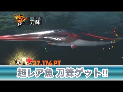 超レア魚も釣れて順調！釣りの達人