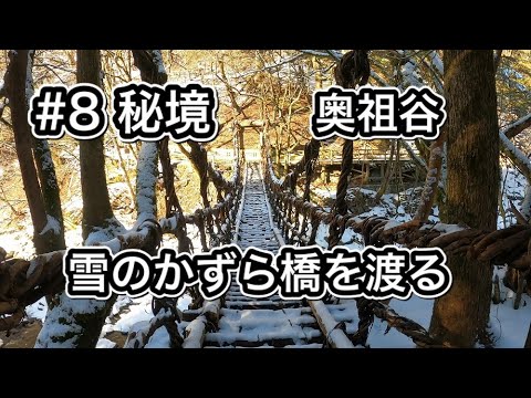 雪のかずら橋を渡る【日本三大秘境】