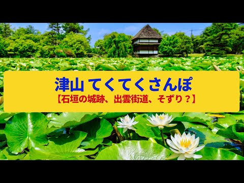 【てくてくさんぽ】津山  出雲街道沿いの商家、石垣の城郭〈津山城跡、衆楽園〉Walk around Tsuyama,OKAYAMA JAPAN