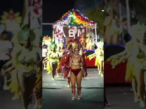 Carnival Parade on Madeira 2023 #madeira #carnival2023 #travelportugal