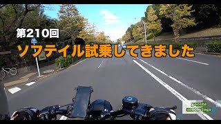 【Motovlog】#210 ソフテイル試乗してきました【モトブログ】