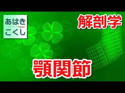 鍼灸 国家試験対策 解剖学 - 顎関節 [あはきこくし]