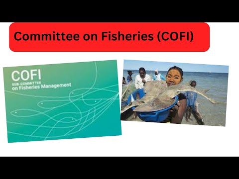 FAOs Committee on Fisheries (COFI)