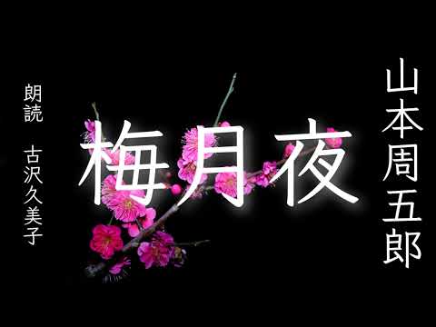 【朗読】山本周五郎「梅月夜」