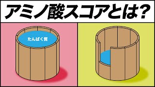 アミノ酸スコア100の食材とアミノ酸の桶理論を解説【ビーレジェンド プロテイン】