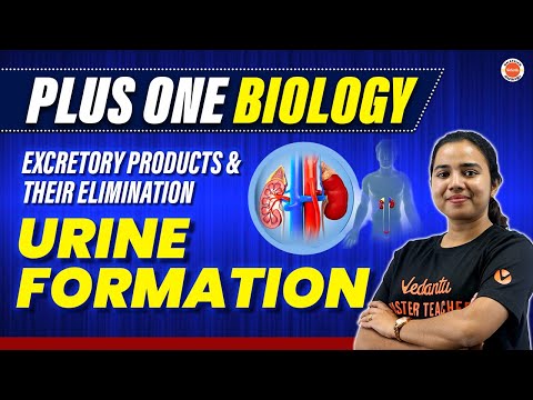 Excretory Products & Their Elimination - Urine Formation | Plus One Biology |Aswani Ma'am