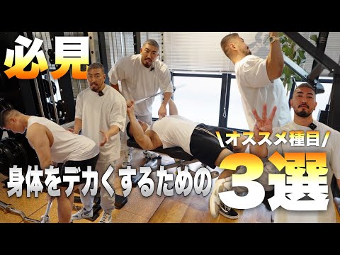 筋トレ初心者必見！身体を大きくするための必須種目3選！