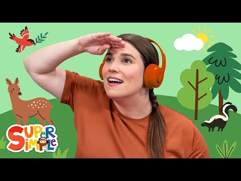 Walking In The Forest | Imagination Time With Caitie | Forest Bathing And Relaxing Stories For Kids