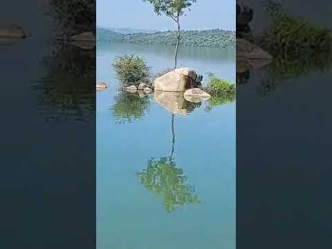 Back water from Nagarjuna sagar