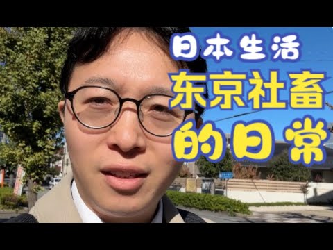 生活在日本东京的社畜日常生活碎片，平淡无奇。