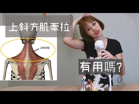 肩頸痠痛該怎麼辦？千萬不要拉脖子！｜詹珞瑤 物理治療師 Veronica Rehab