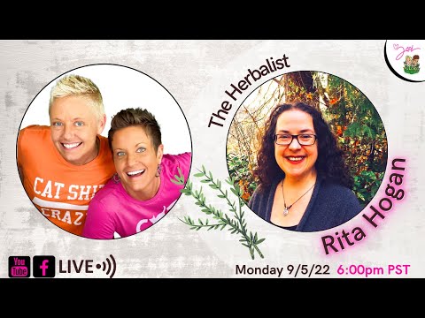 What You Should Know About Your Cats & Herbs | Special Interview With Rita Hogan