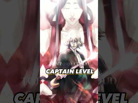 Bleach Captain vs God Level