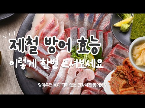 제철 방어 놀라운 효능 맛있게 먹는 회 레시피 알려드릴게요